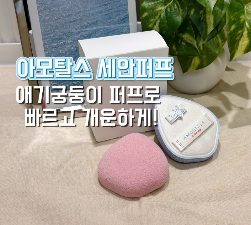 아모탈스 딥클렌징 세안 퍼프 해면 스펀지 후기, 손세안보다 개운했던 이유