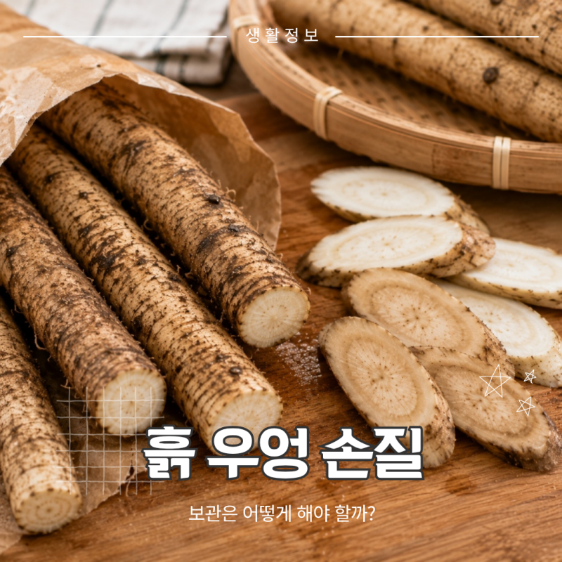 우엉 보관법, 흙 묻은 채 둘까 손질해서 냉장할까