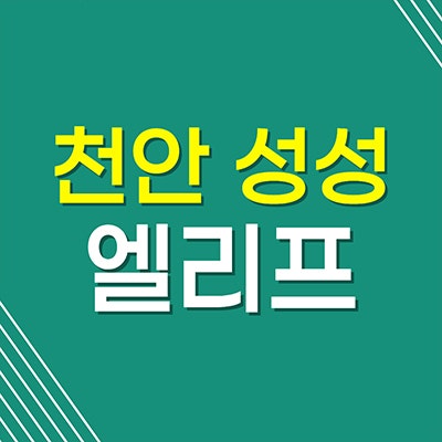천안 성성 엘리프 미분양아파트 업성동 호수공원 분양가 잔여세대