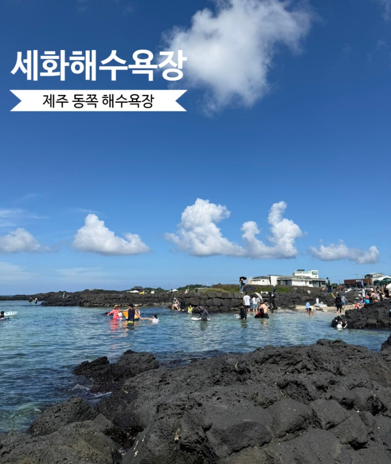 제주도 동쪽 해수욕장 스노쿨링 모래놀이 파도타기 모두 가능한 세화해수욕장 세화해변