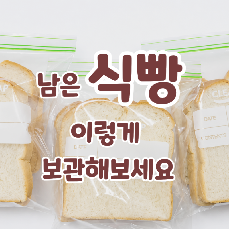식빵 냉장 보관하지 마세요! 오래 두고 맛있게 먹는 보관법