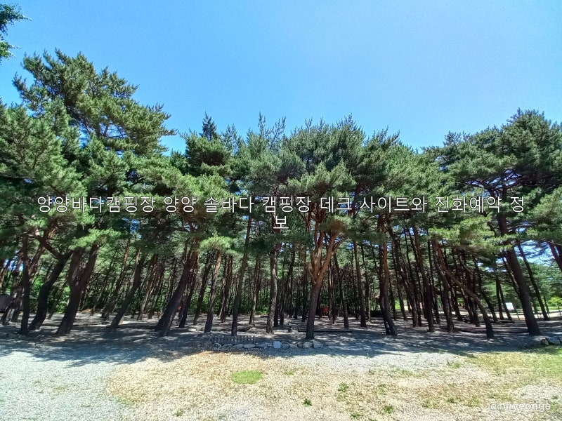 양양바다캠핑장 양양 솔바다 캠핑장 데크 사이트와 전화예약 정보