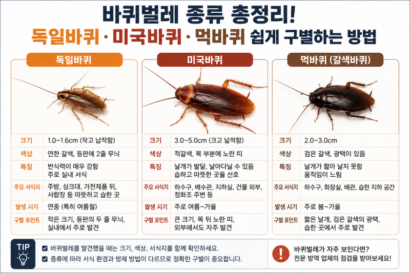바퀴벌레 종류 총정리 독일바퀴 미국바퀴 먹바퀴 구별방법