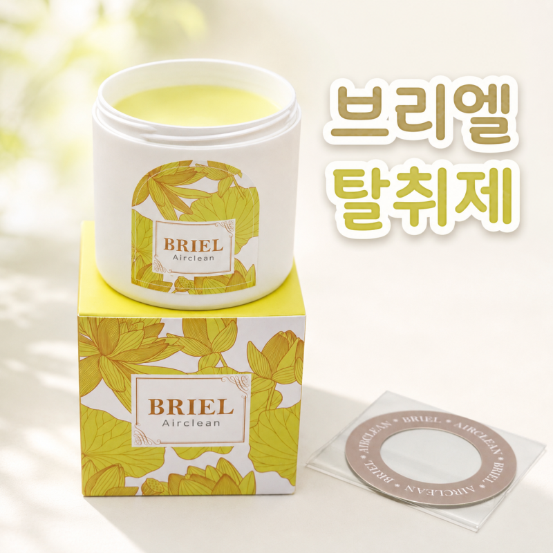 내돈내산 고체 탈취제 추천｜거실 방 냄새 관리 브리엘 에어클린 시트러스향