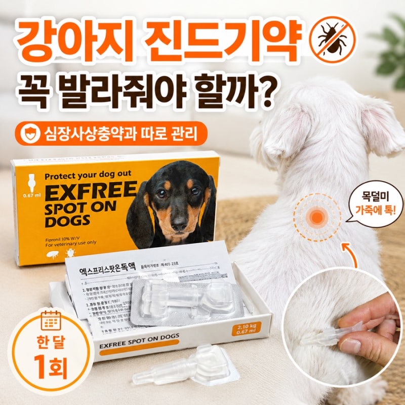 강아지 진드기약 꼭 발라줘야 할까? 심장사상충약과 따로 관리하는 이유