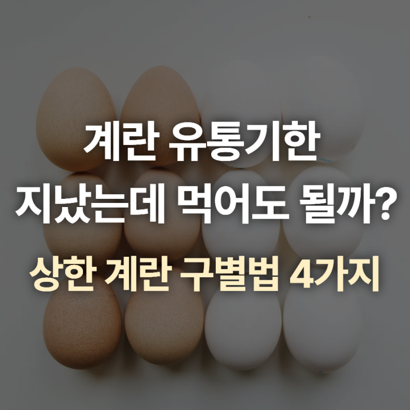 계란 유통기한 지났는데 먹어도 될까? (소비기한·보관기간 기준)