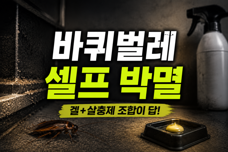 바퀴벌레 없애는법 7년 자취 실전 셀프 방역 겔 퇴치약 살충제 사용법