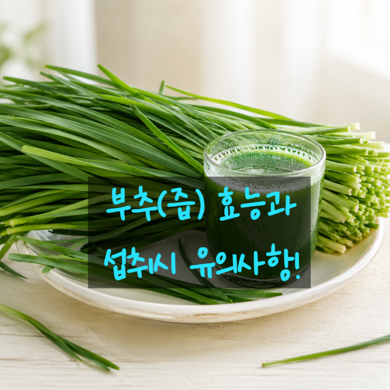 부추효능, 부추즙효능 제대로 알고 챙기세요