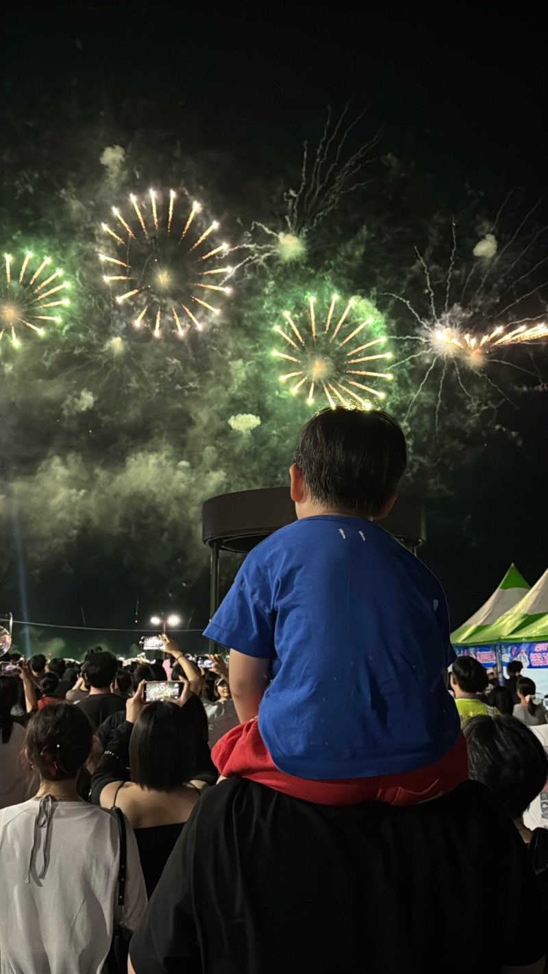 2026 목포해상W쇼 노라조부터 불꽃놀이까지 9월 공연은 언제?