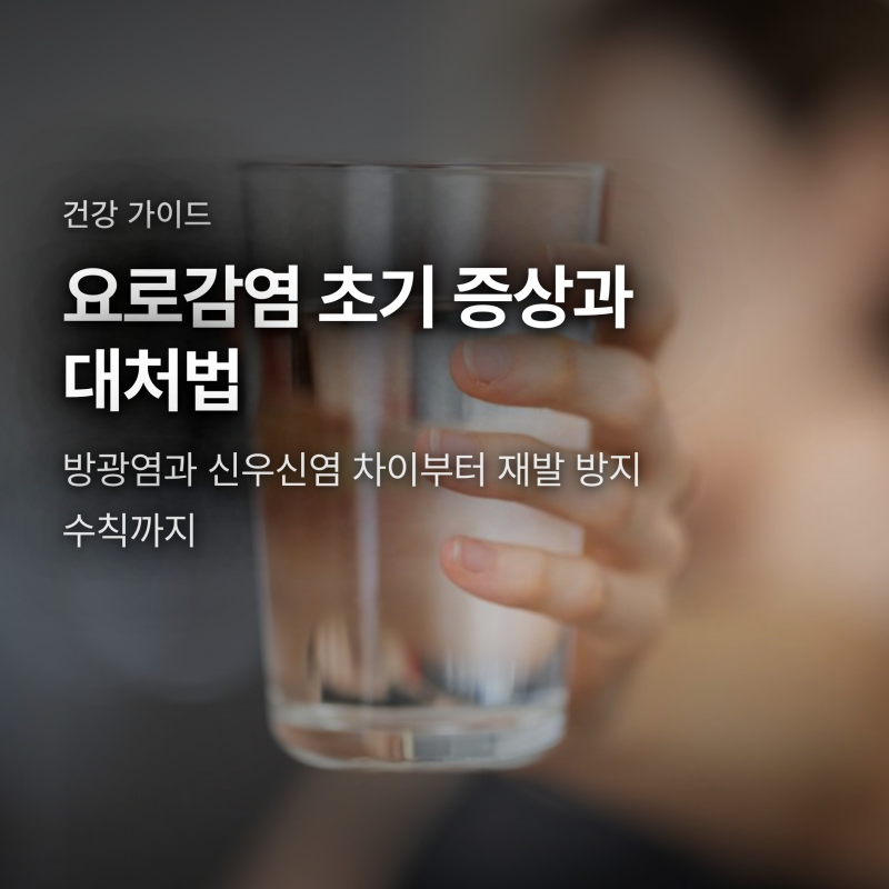 요로감염 초기 증상과 원인, 방광염 신우신염 차이와 대처법