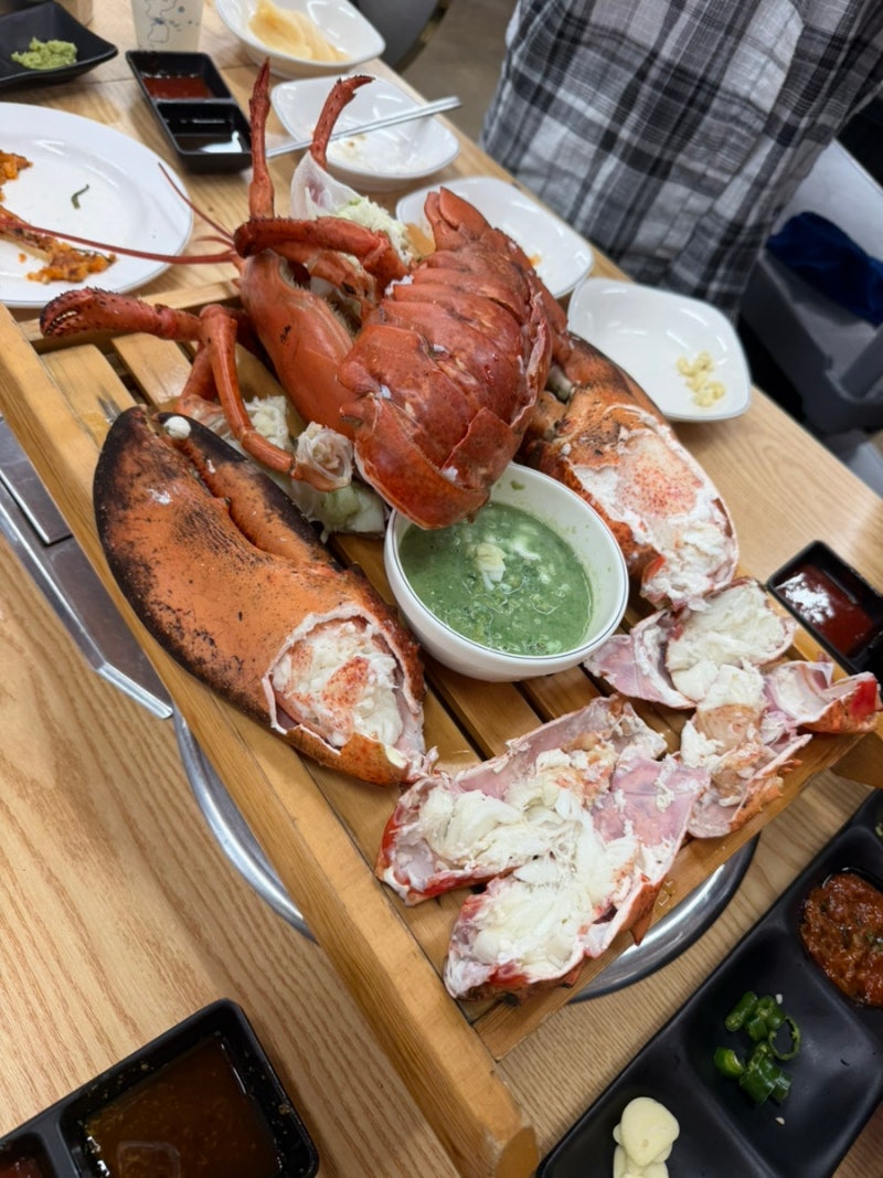 인천 신천동 너무 친절하신 곳 !! 생새우회, 랍스타회, 오징어회 맛집 큰바다수산 추천 찐후....