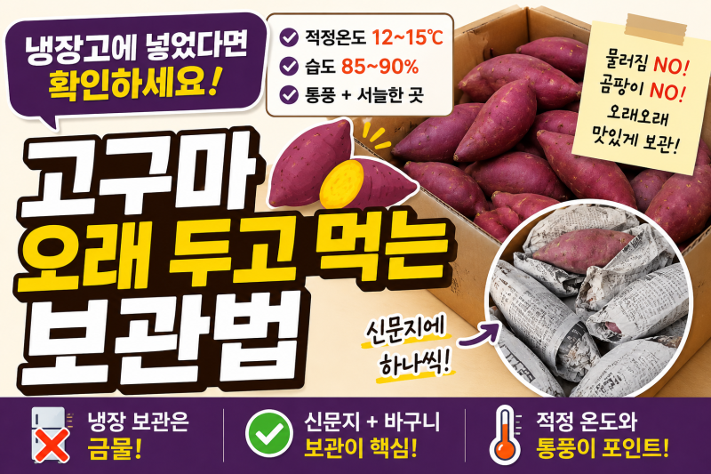 고구마 냉장고에 넣었다면 확인하세요! 오래 두고 먹는 보관법