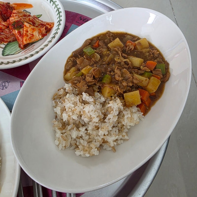 고기반 야채반 일본 골든커리 5단계 매운맛 즉흥 카레 레시피