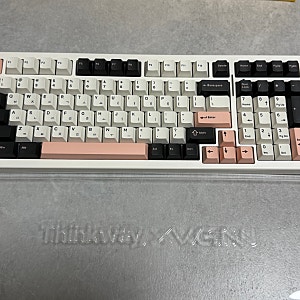 [리뷰] 씽크웨이 VGN 콜라보 TV99 저소음 딮씨 프로 올리비아 핑크 내돈내산 리뷰, 기계식 키보....