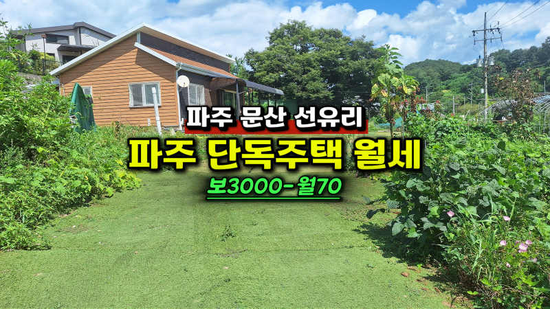 [파주 전원주택 월세] 문산읍 선유리 대지 266평 넓은 마당 숲세권 단독주택 임대 (보3,000/월70)