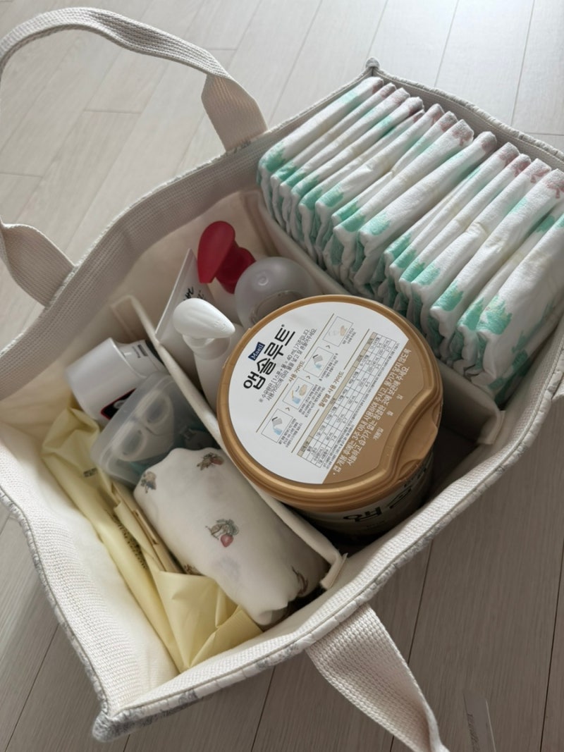 이몽 기저귀보관정리함/내돈내산/기저귀가방 추천
