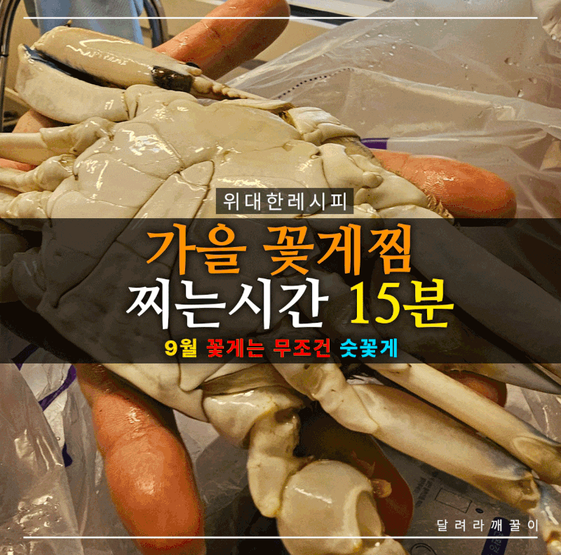 가을 꽃게찜 찌는시간 15분, 배 뒤집는 이유 있어요