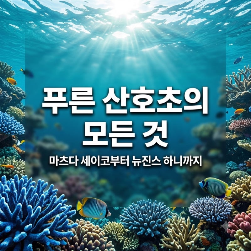 푸른 산호초는 어떤 노래인가요? 마츠다 세이코부터 뉴진스 하니까지
