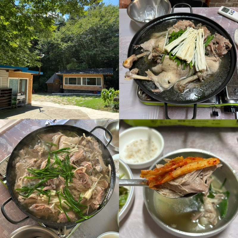 대구 팔공산 맛집 산속비봉식당ㅣ부모님 모시고 가기 좋은 팔공산 방갈로 오리백숙 맛집
