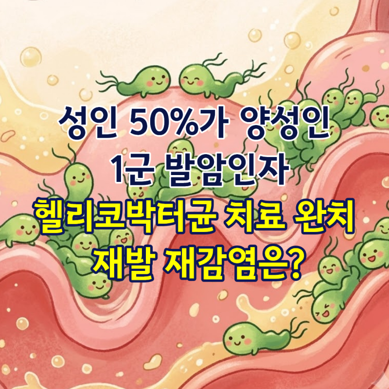 성인 50%가 양성인 1군 발암인자, 헬리코박터균 치료 완치 재발 재감염은?