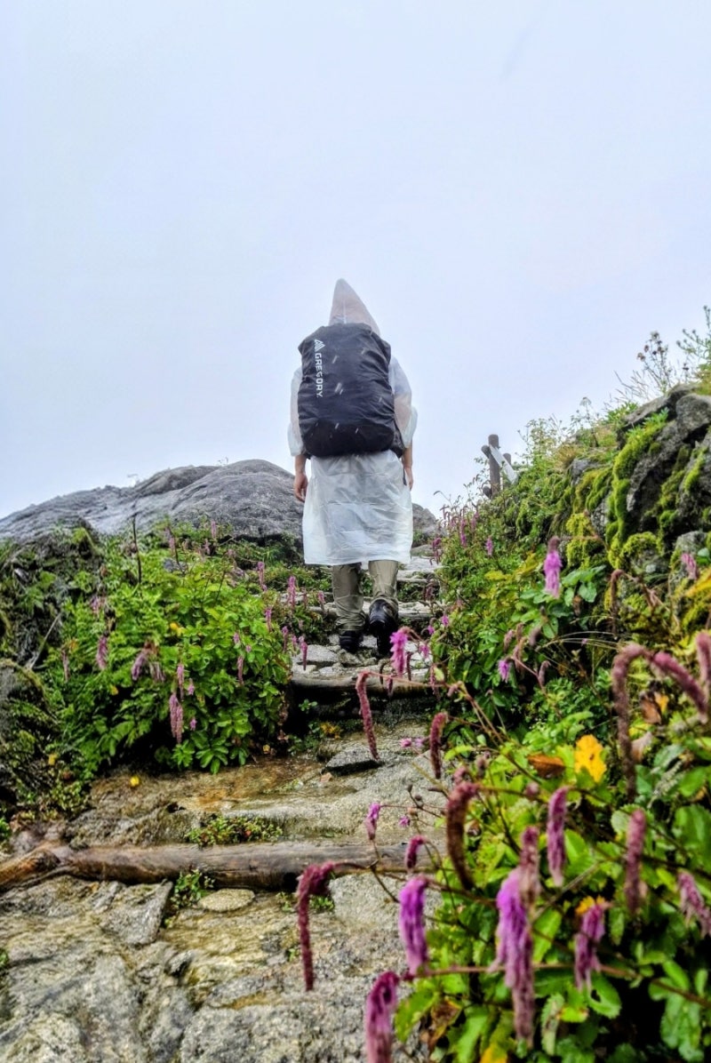 지리산 1박2일 백무동 장터목 천왕봉 세석 한신계곡｜19.1km 우중산행 코스