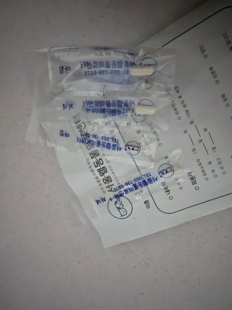 노견강아지 갑자기혈뇨를 본다면?? 너무당황하지말고 소변상태부터 확인하세요