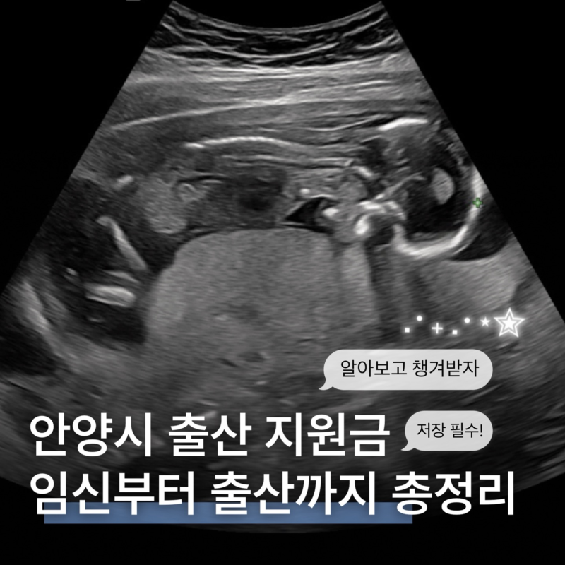 안양시 임신·출산 지원금 총정리｜임신축하금부터 출산지원금까지