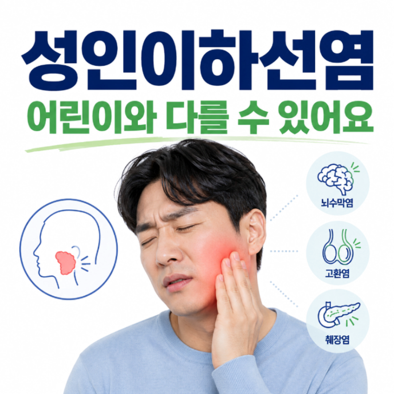 이하선염 원인 증상, 성인 볼거리 전염