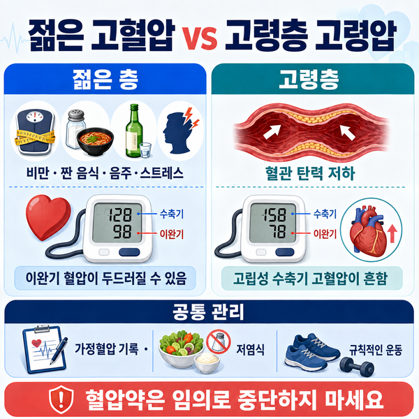젊은 고혈압·늙은 고혈압 정부 혜택｜대상별 관리법과 건강생활실천지원금 신청방법
