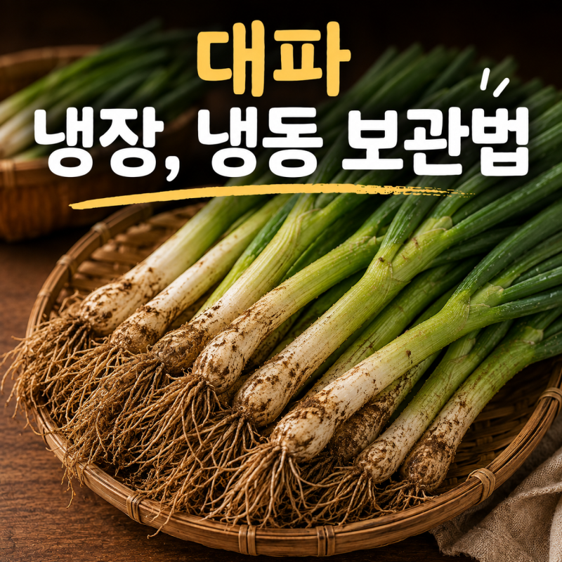 대파 오래 보관하는 방법, 냉장 냉동 보관법 정리