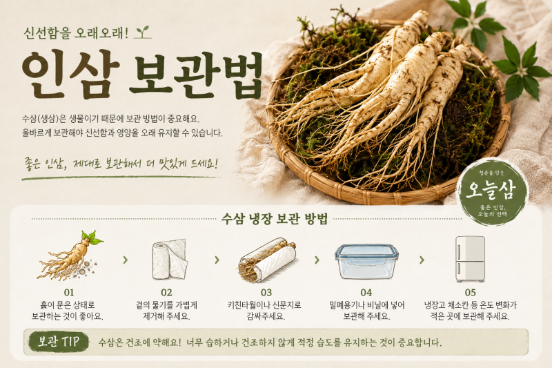 인삼 초보 가이드 (tip) -인삼 보관법