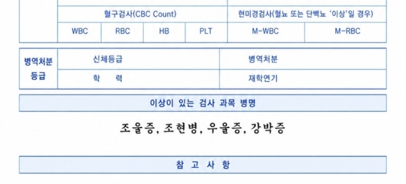 조울증.조현병.우울증 진단으로 군대를 면제받은 뒤, 정신과약을 끊고 싶어질 때 생기는 일