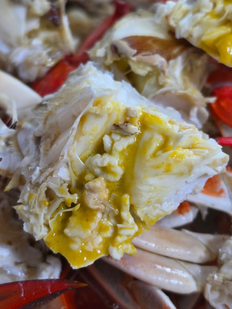 [광주 금호동 맛집] 가을 제철 음식하면 꽃게! 야무진 꽃게찜 먹으러 금호포차 방문했어요