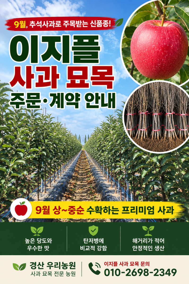 이지플 사과 묘목 계약 안내, 추석 사과로 주목받는 신품종