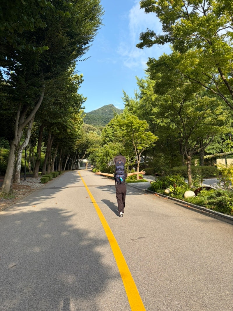 미니메이즈 아기 목마캐리어 하나로 외출이 이렇게 편해졌어요