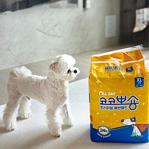 특대형 강아지 배변패드 코코뽀숑 우리 봄이가 직접 사용해본 후기