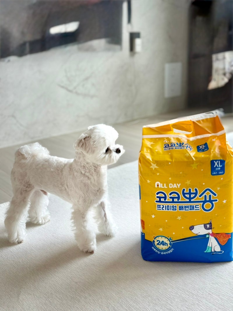 특대형 강아지 배변패드 코코뽀숑 우리 봄이가 직접 사용해본 후기