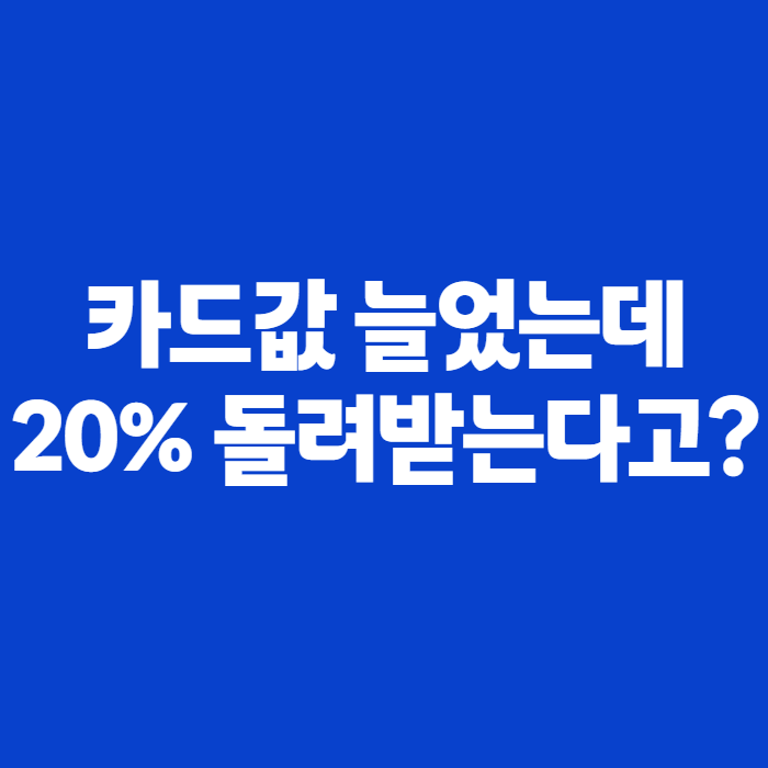 상생페이백 사용방법 총정리, 온라인·큐알 결제부터 신한카드 확인법까지