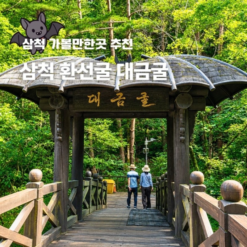 강원도 삼척 동굴 환선굴 대금굴 비교 모노레일 예약 팁