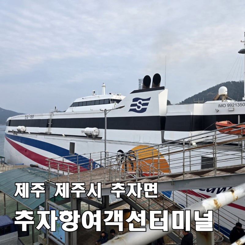 [제주 추자도 배편] 추자항여객선터미널·신양항여객선대합실, 추자도 마을버스까지 완벽 정....