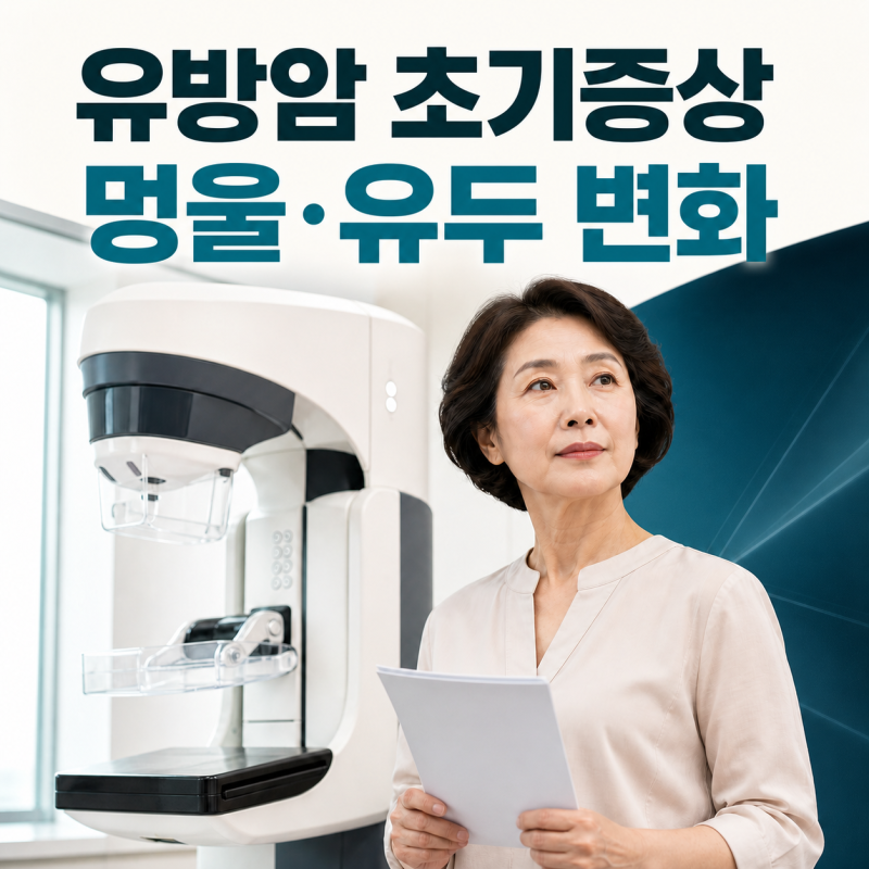 유방암 초기증상, 통증 없는 멍울이면 의심해야 할까? 유두 변화와 검사받아야 할 때