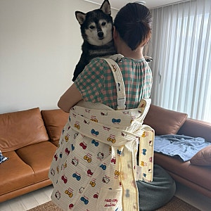 압소바 키티 포대기 너무 예쁨