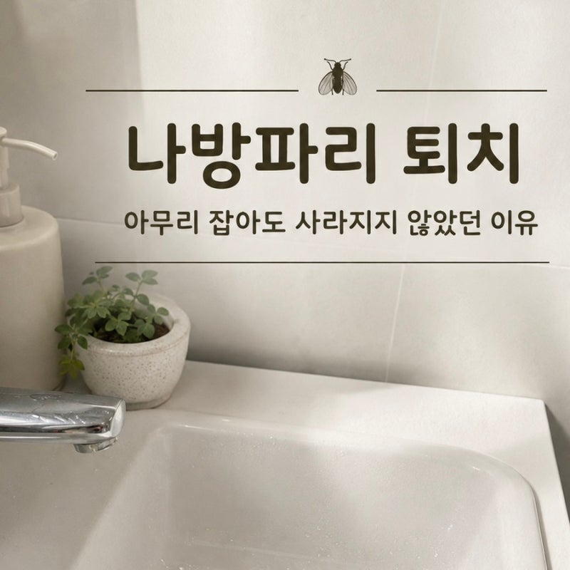 나방파리 퇴치, 아무리 잡아도 사라지지 않았던 이유
