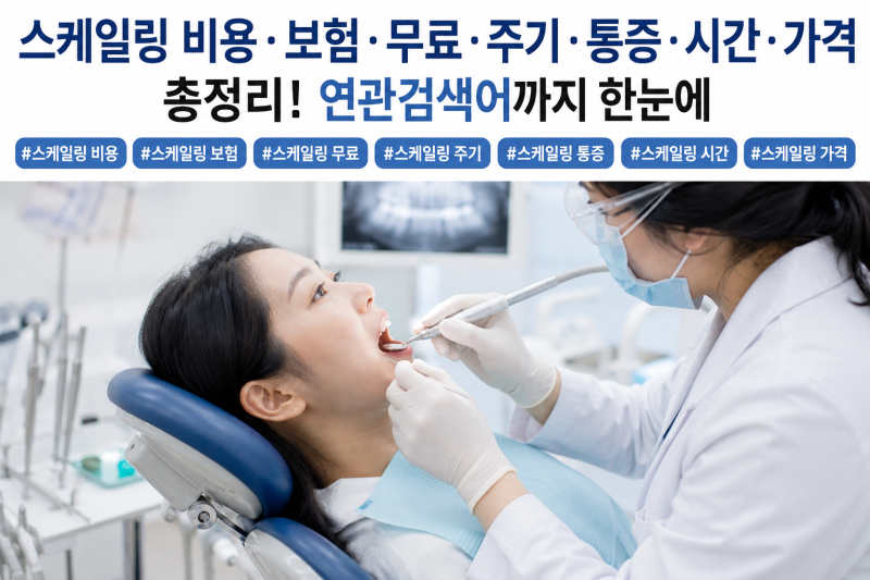 스케일링 비용 얼마일까? 건강보험·무료 기준부터 주기·통증·시간까지 총정리