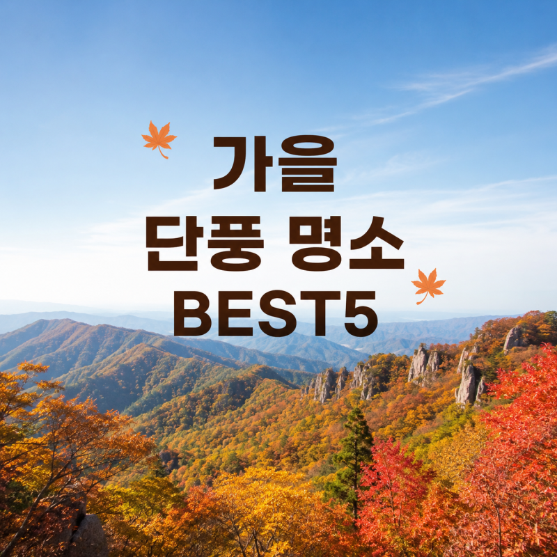 가을 단풍 명소 BEST5 우리나라 단풍산 등산코스 추천