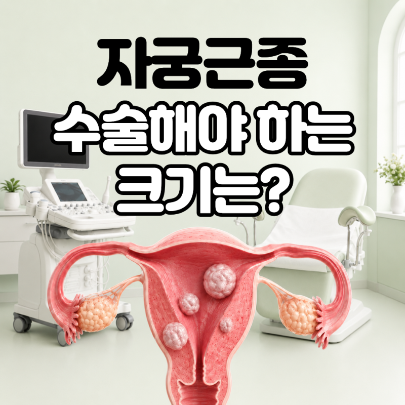 자궁근종 크기 몇 cm부터 수술할까? 크기별 수술 기준 입원기간 및 비용