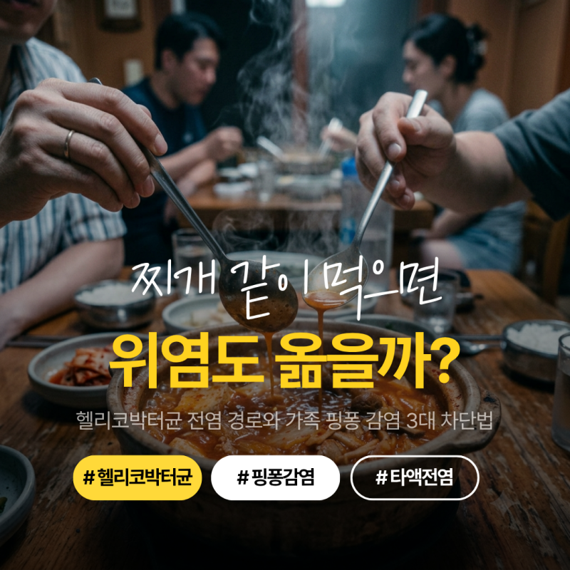 헬리코박터균 전염, 찌개 같이 먹으면 정말 옮을까? 가족 핑퐁 감염 막는 3가지 예방 수칙