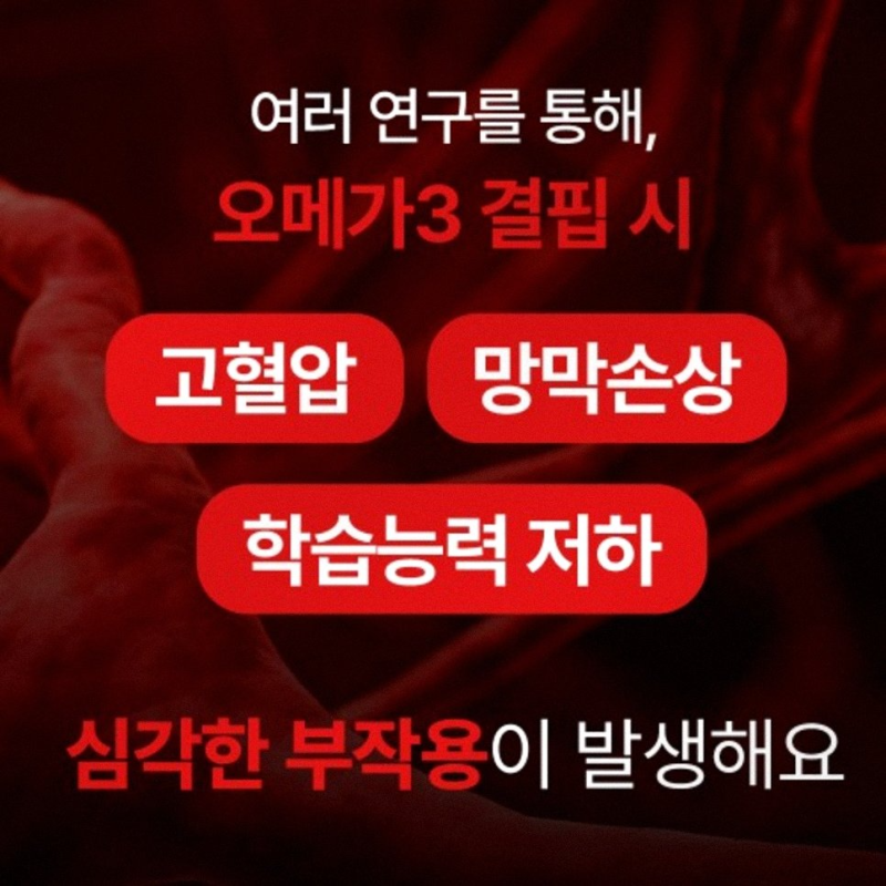 강아지 rTG 오메가3 순도 80% 후기 피부 관절 영양제 6개월 급여기