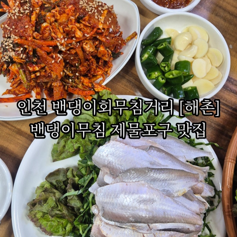 인천 밴댕이회무침거리 해촌 밴댕이무침 제물포구 맛집