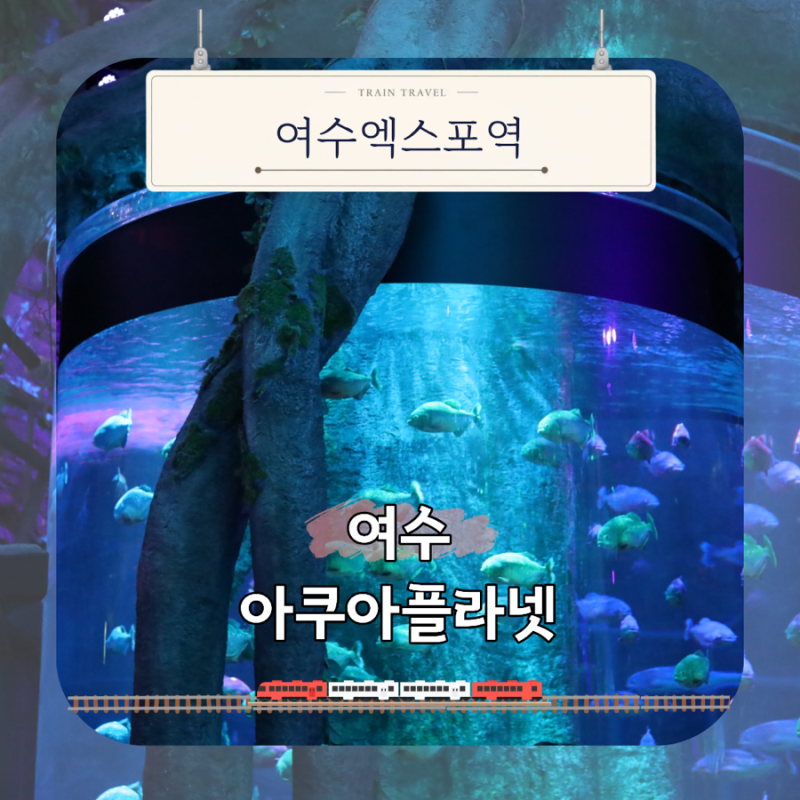 여수 아쿠아플라넷 할인 아이와 다녀온 후기, 네이버 입장권 31,500원